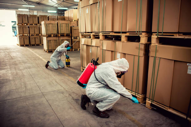 Best Local Pest Control Services  in Wilmington, DE