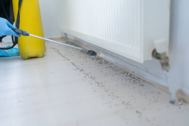 Best Cockroach Control Services  in Wilmington, DE